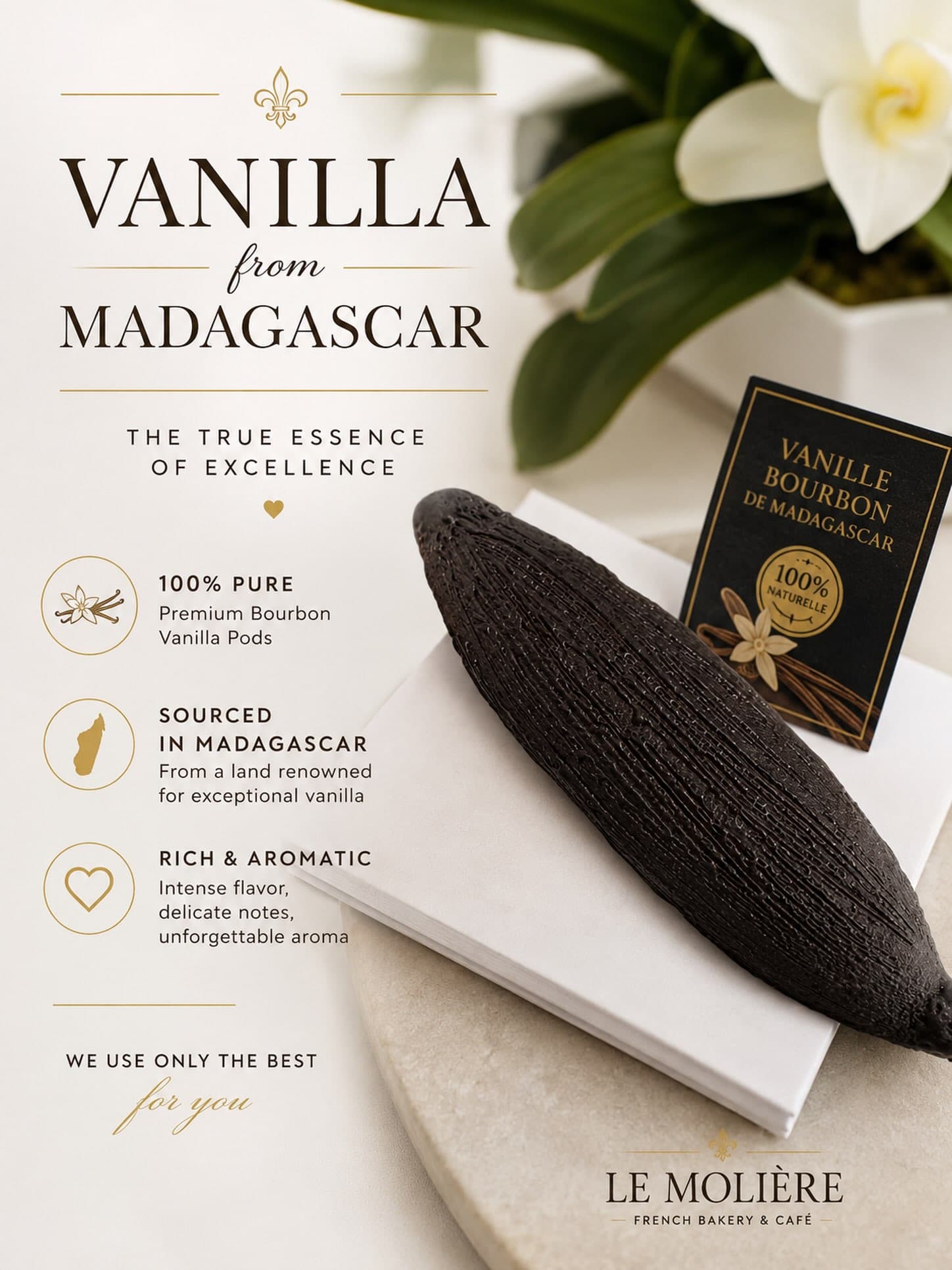 A trompe-l'œil creation sculpted to look like a vanilla bean pod